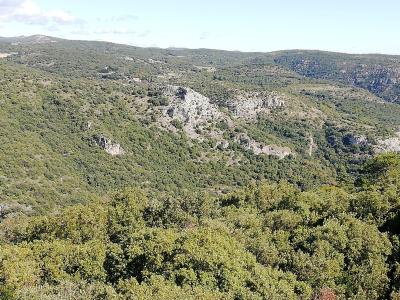 Minerve 1