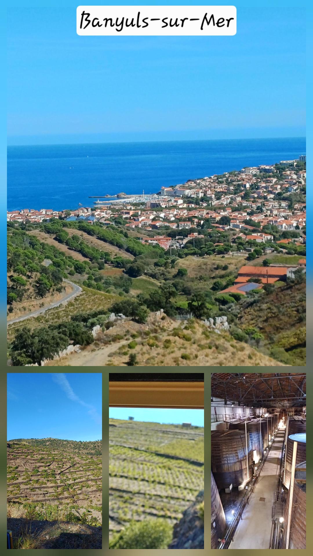 Montage banyuls