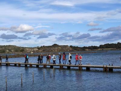 Passerelle 0